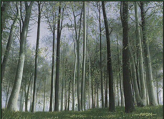 Forest