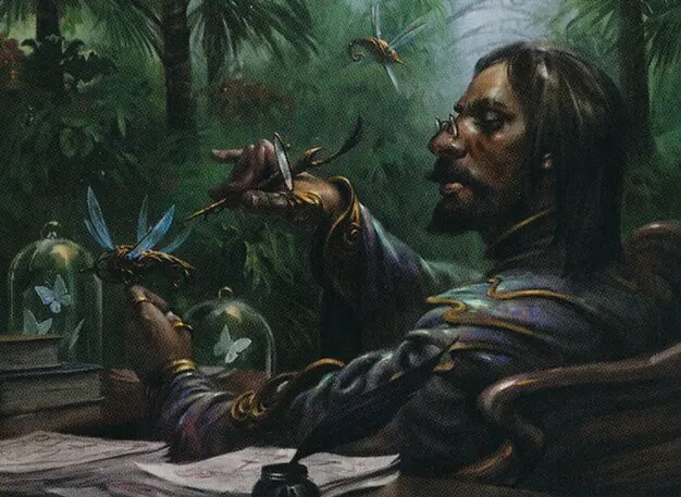 Sai, Master Thopterist