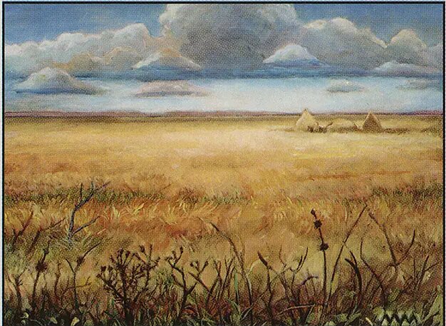 Plains