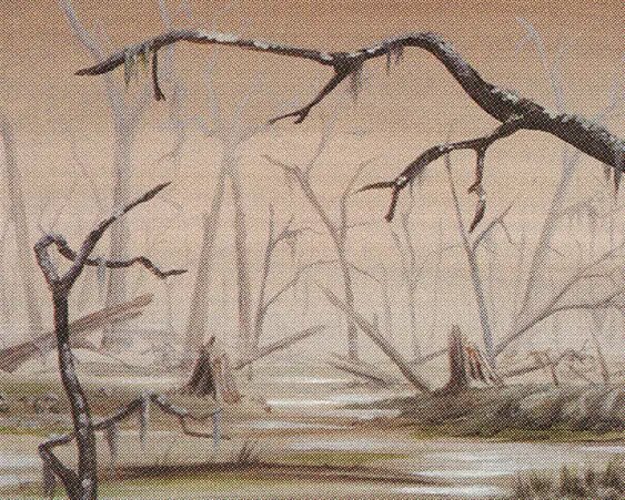 Swamp