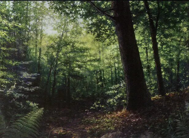 Forest