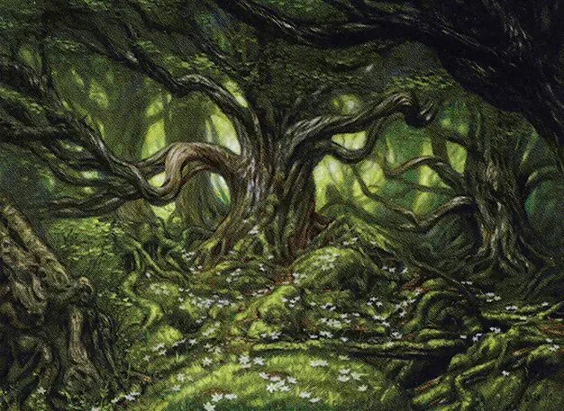 Forest