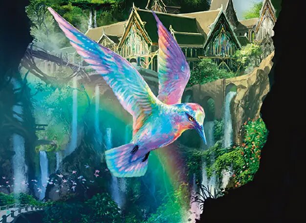 Birds of Paradise