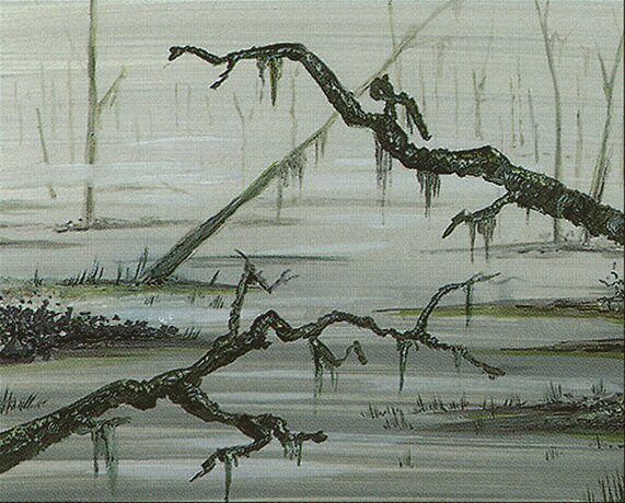Swamp