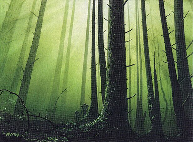 Forest