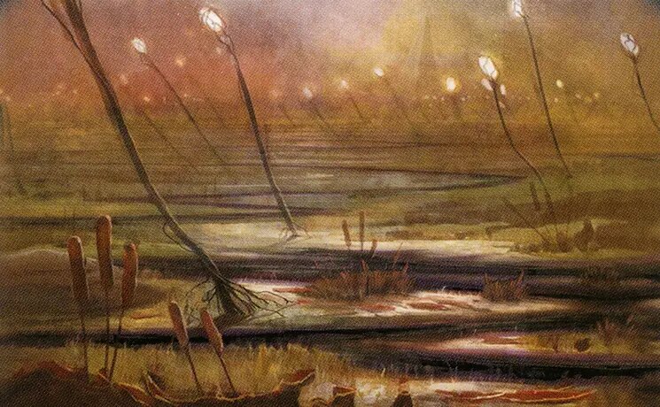 Marsh Flats