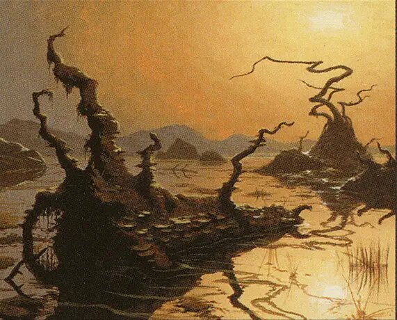 Swamp
