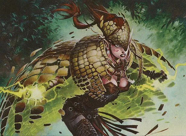 Armadillo Cloak