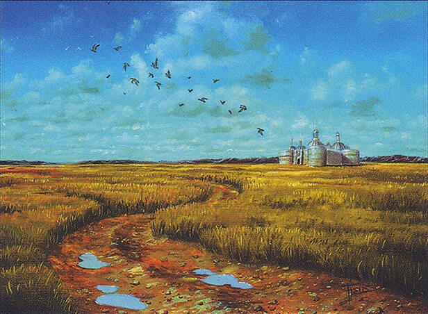 Plains
