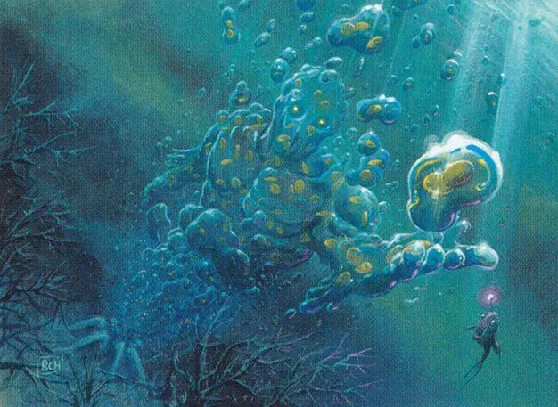 Fathom Seer
