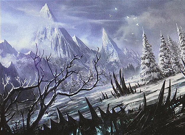 Wooded Foothills