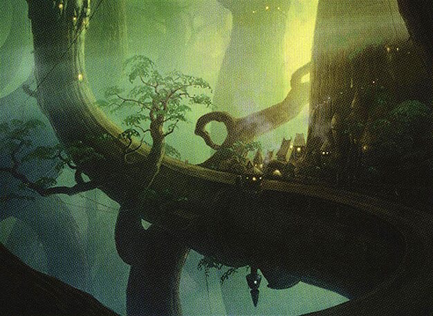 Forest