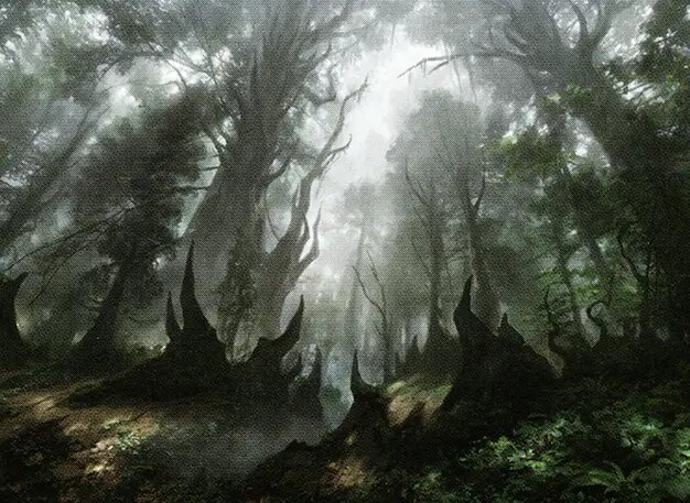 Forest