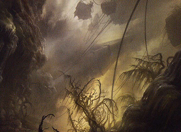 Swamp