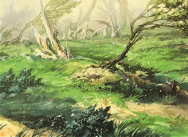Windswept Heath