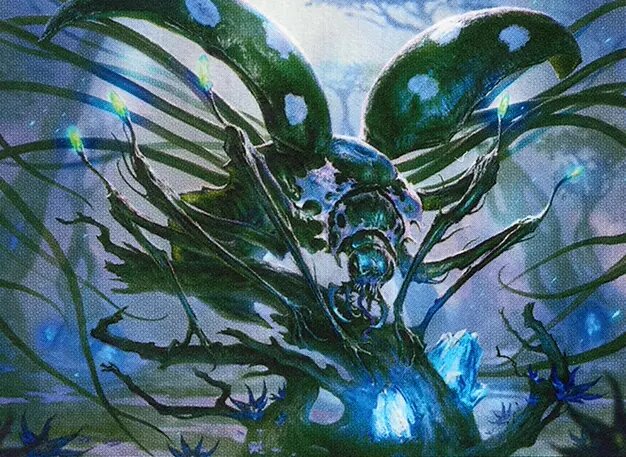 Kathril, Aspect Warper