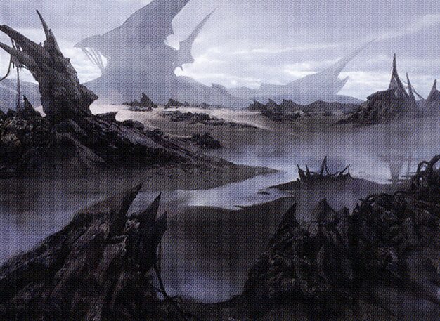 Swamp