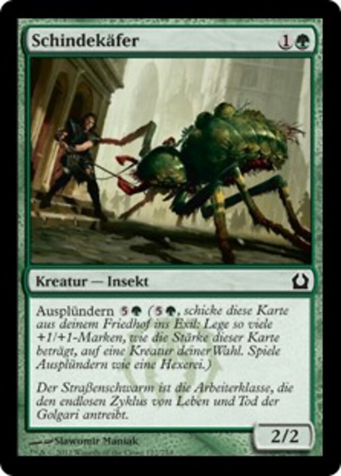 Schindekäfer