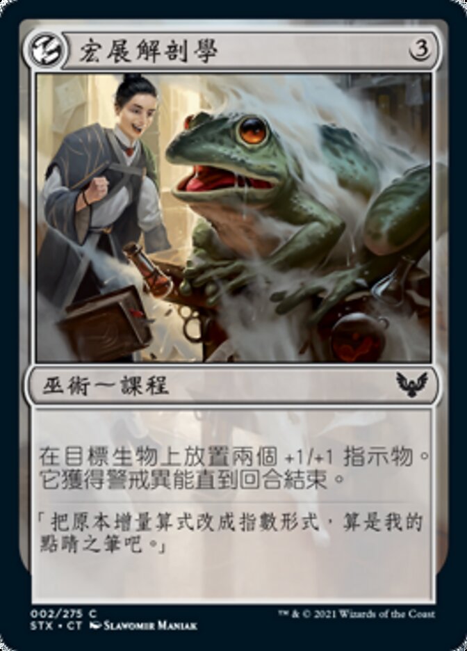 宏展解剖學