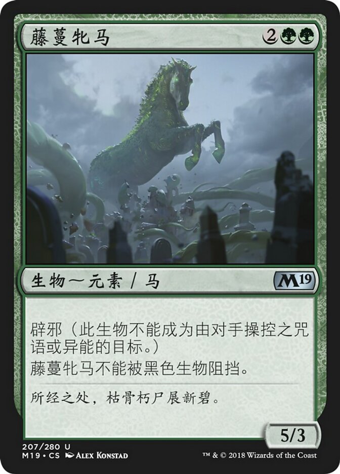 藤蔓牝马