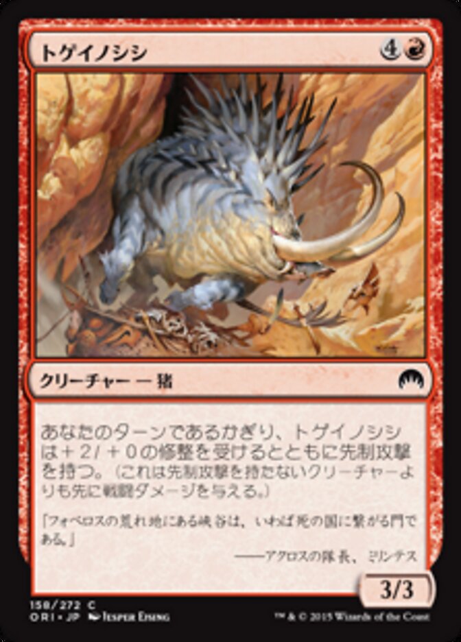 トゲイノシシ