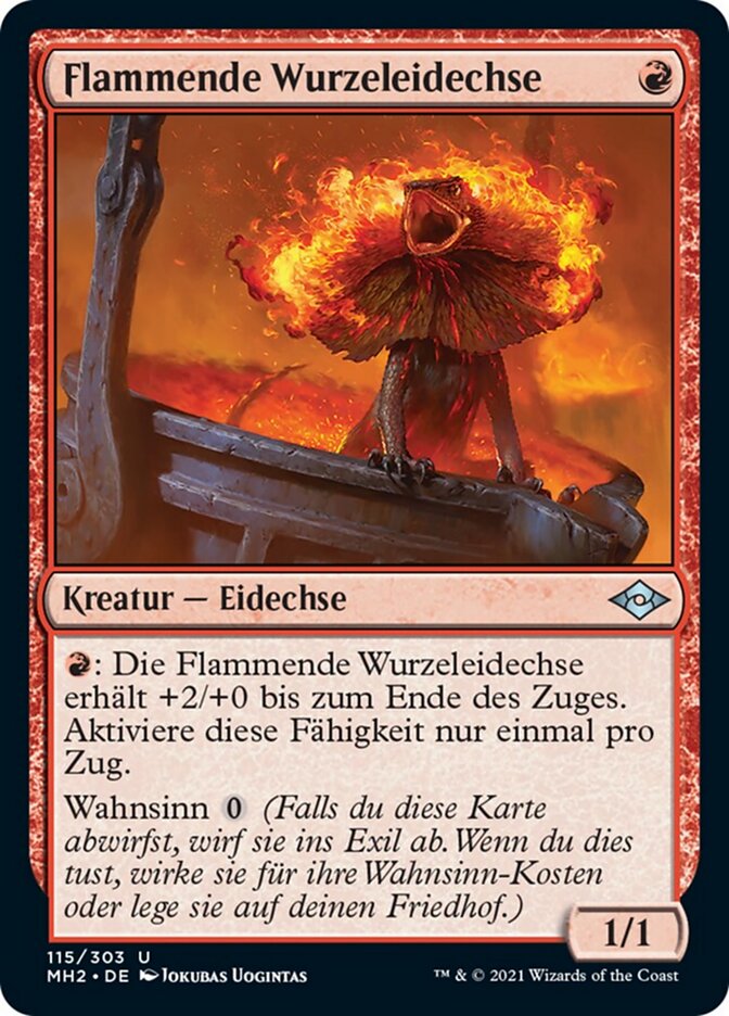 Flammende Wurzeleidechse