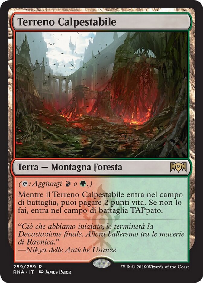 Terreno Calpestabile