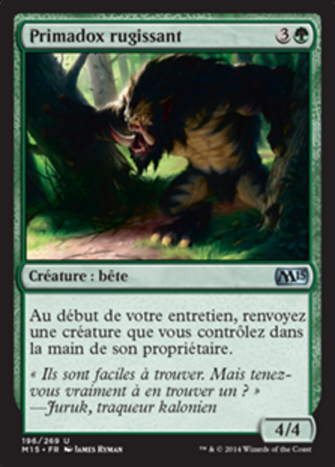 Primadox rugissant