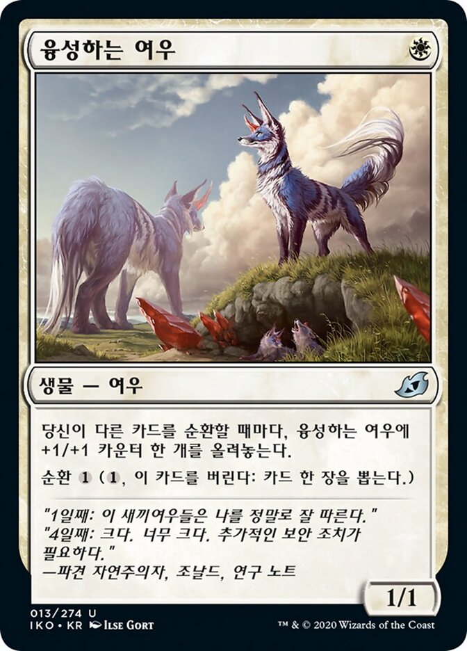융성하는 여우