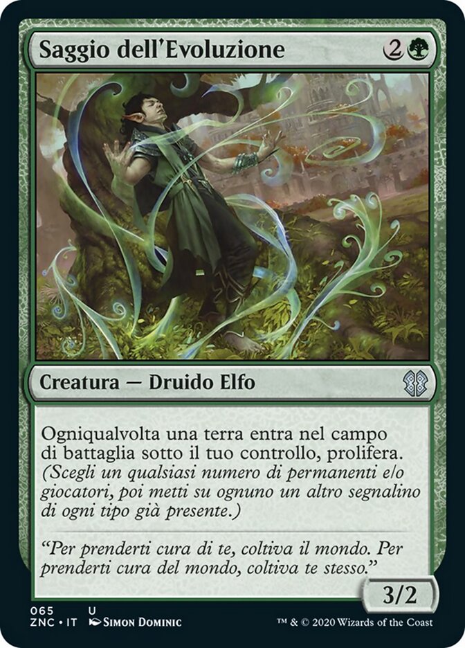 Saggio dell'Evoluzione