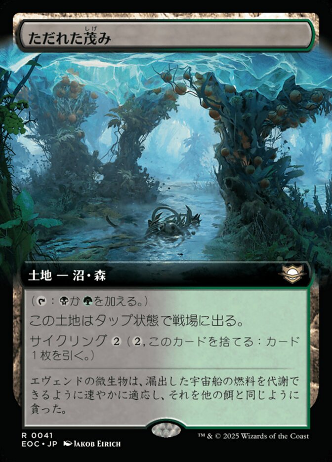 ただれた茂（しげ）み