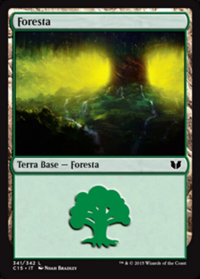 Foresta