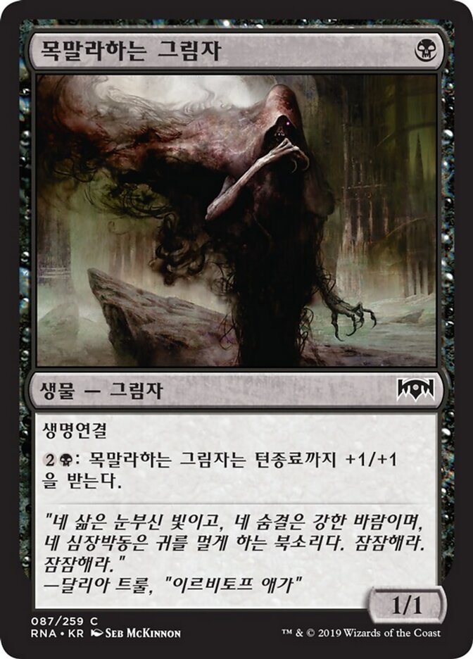 목말라하는 그림자