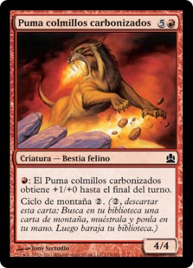 Puma colmillos carbonizados