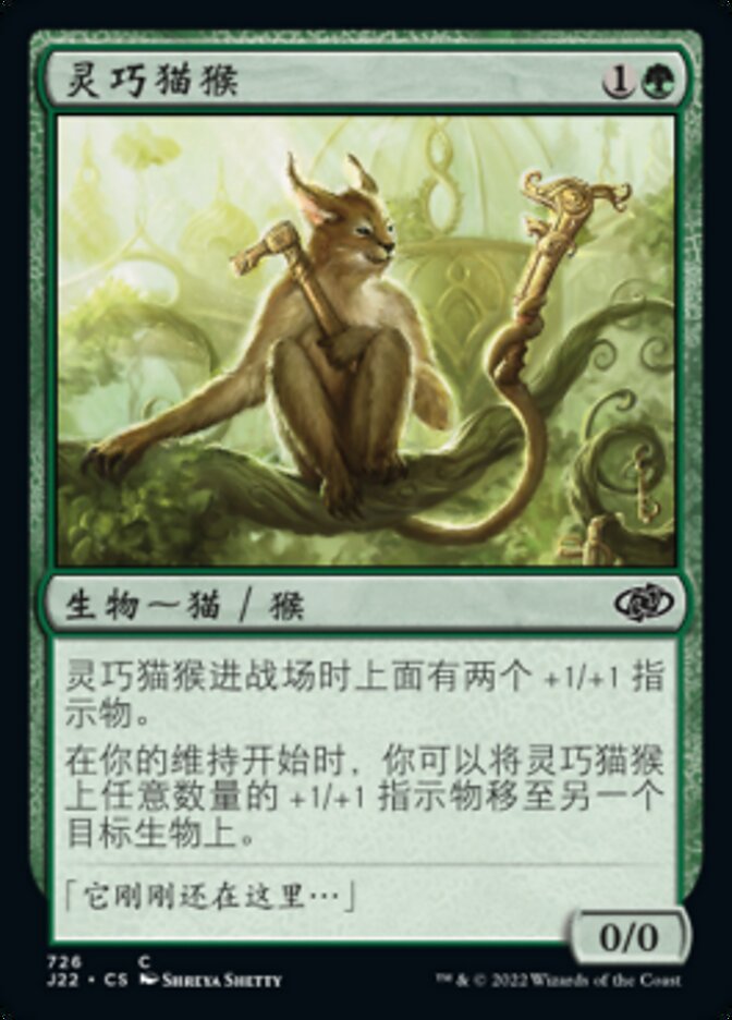 灵巧猫猴
