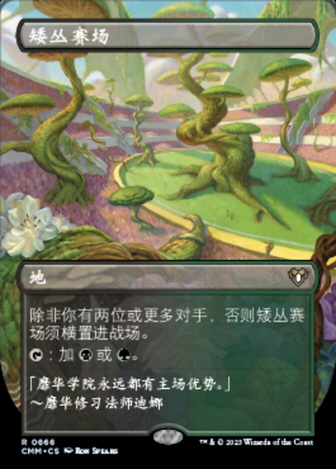 矮丛赛场