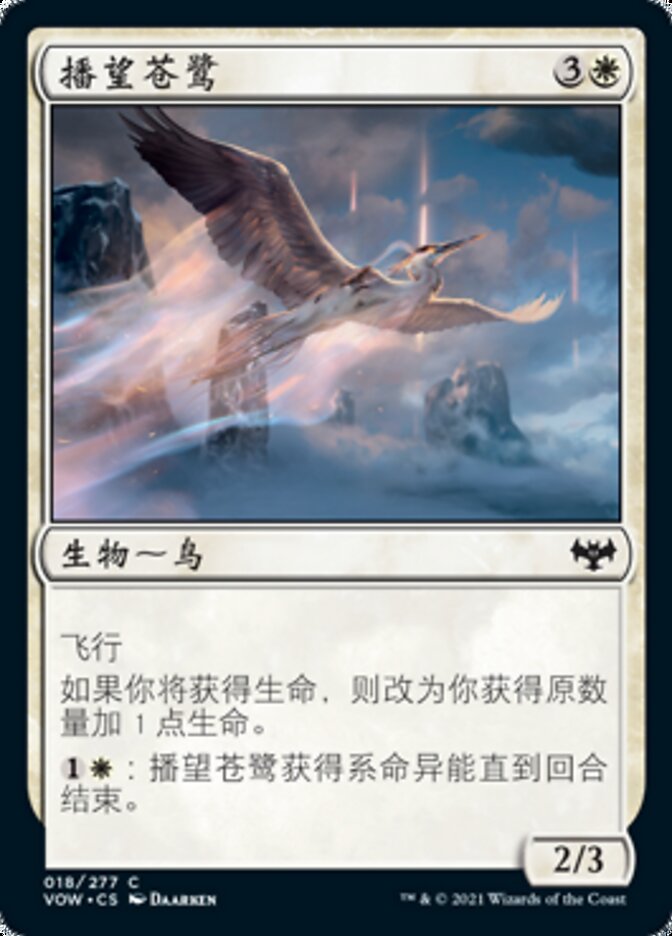 播望苍鹭