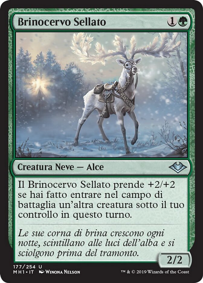 Brinocervo Sellato