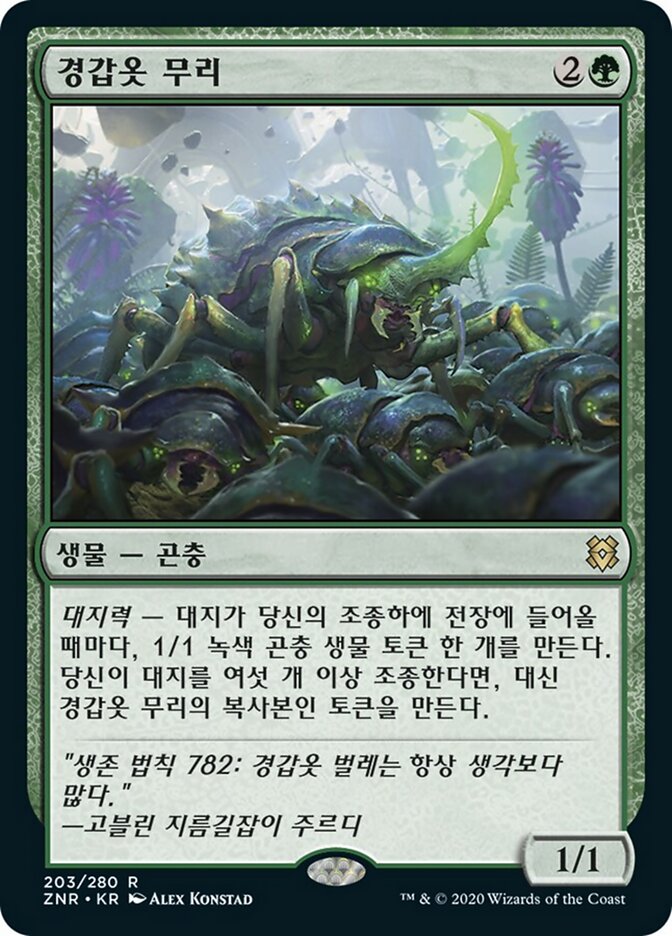 경갑옷 무리
