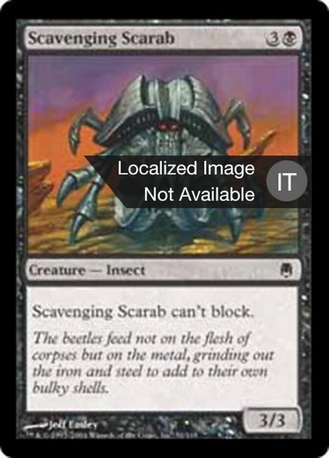 Scarabeo Sciacallo