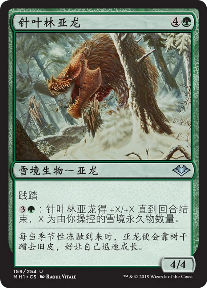 针叶林亚龙