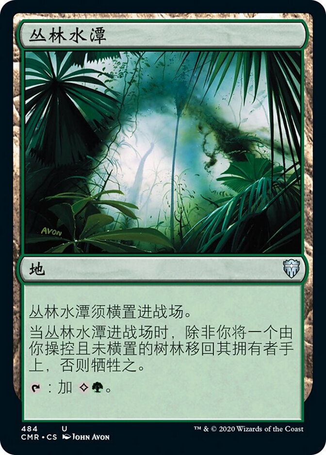 丛林水潭