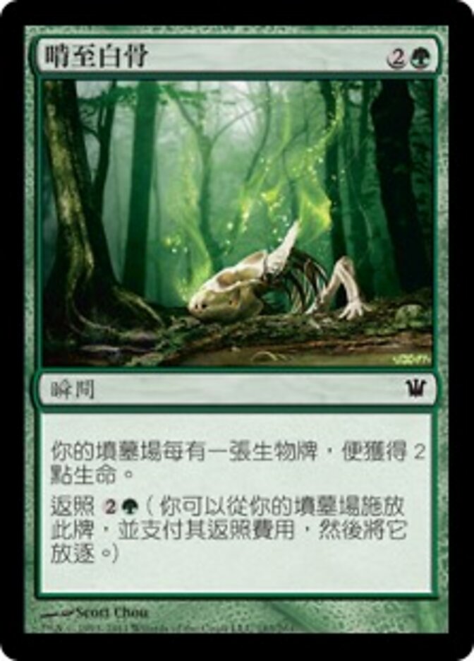 啃至白骨