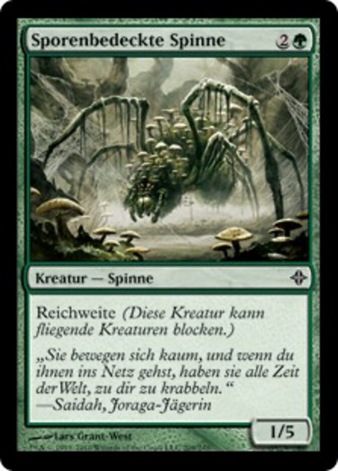 Sporenbedeckte Spinne