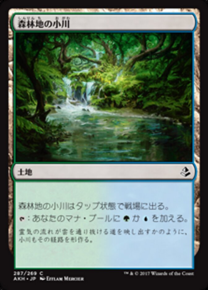 森林地の小川