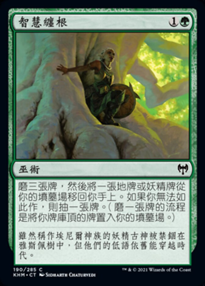 智慧纏根