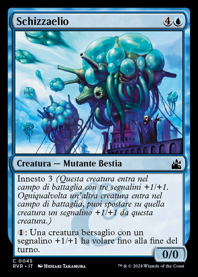 Schizzaelio