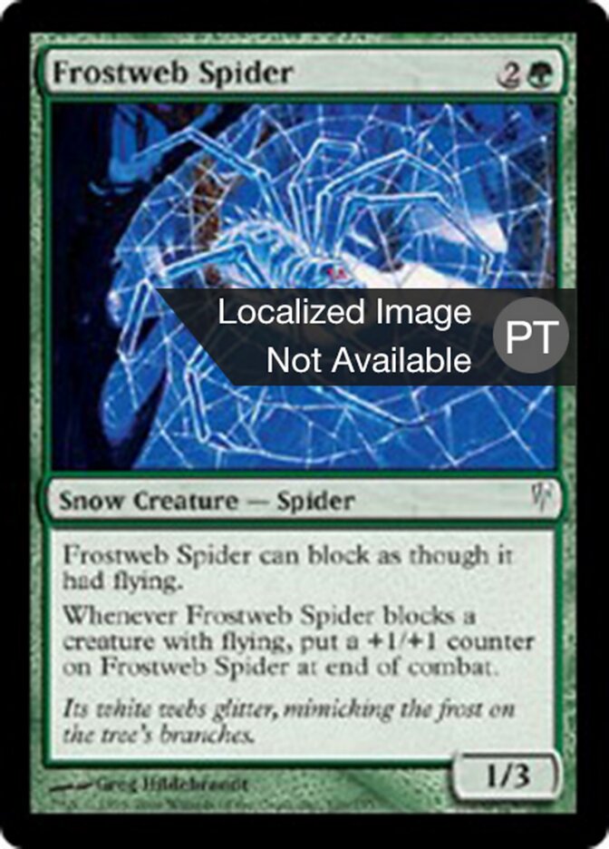 Aranha Teia de Gelo