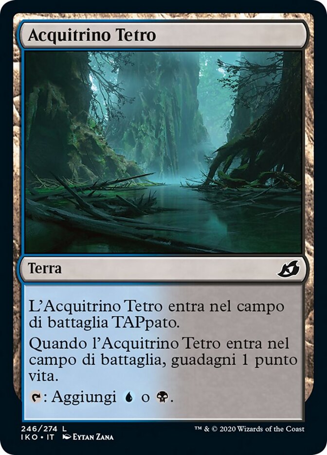 Acquitrino Tetro