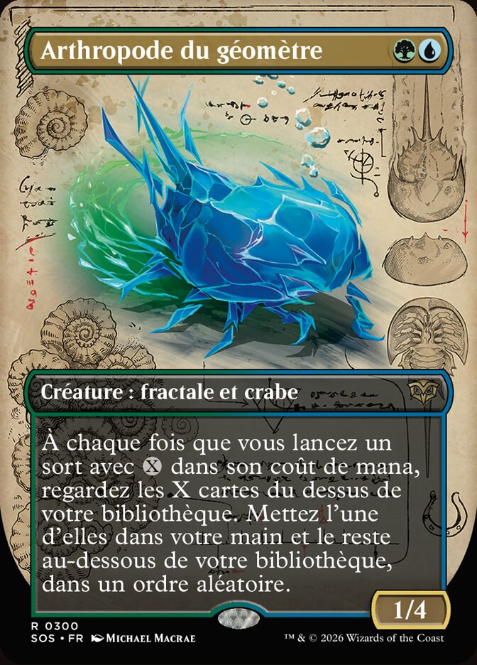 Arthropode du géomètre